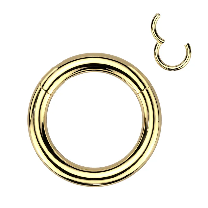 6g Gold Titanium Hinged Segment Ring Tulsa Body Jewelry Rings