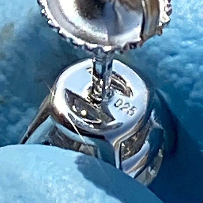 Bling Cartel 2CT TW Moissanite Stud Earrings 925 Sterling Silver Round Pass Diamond Tester 65MM Earrings Bling Cartel 2CT TW Moissanite Stud Earrings 925 Sterling Silver Round Pass Diamond Tester 65MM Earrings