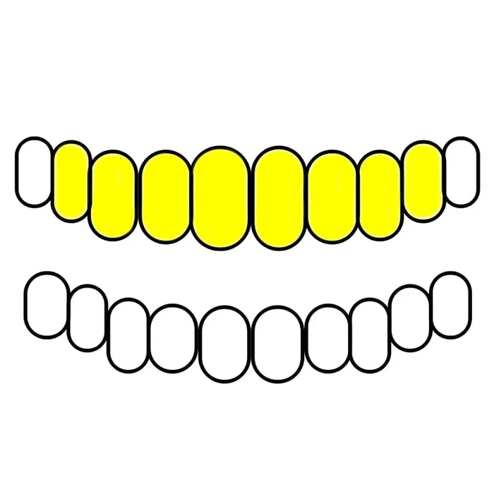 Bling Cartel Admin Rings Gold Plated over Solid 925 Sterling Silver Plain Custom Grillz