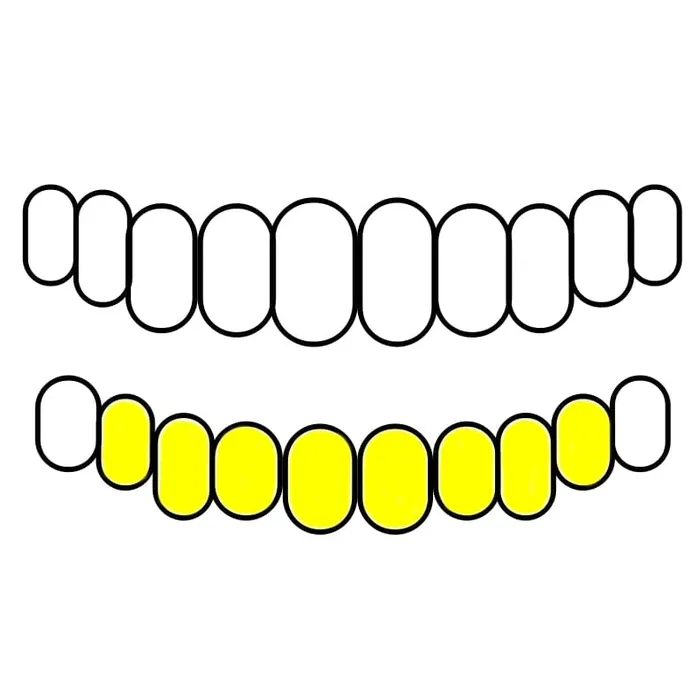 Bling Cartel Admin Rings Gold Plated over Solid 925 Sterling Silver Plain Custom Grillz